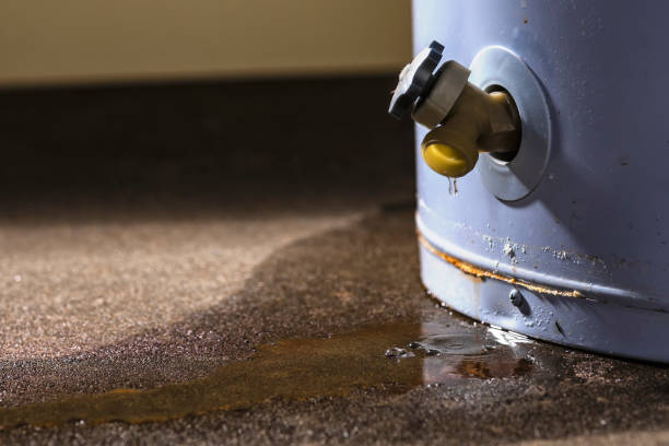 Sewage cleanup and water damage restoration in Ivanhoe, CA