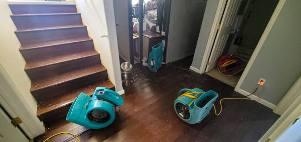 Best Basement water damage restoration  in Ivanhoe, CA