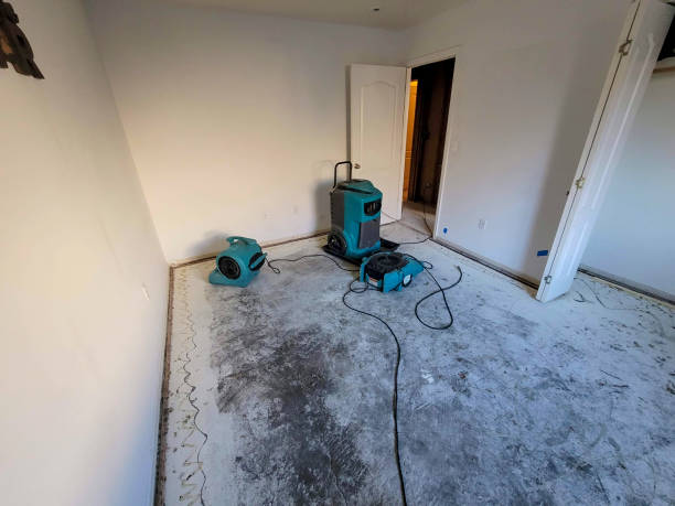 Carpet water damage restoration in Ivanhoe, CA