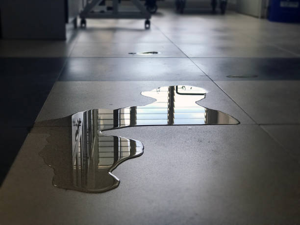 Best Professional water damage repair  in Ivanhoe, CA