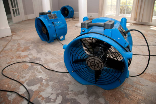 Best Emergency water damage restoration  in Ivanhoe, CA