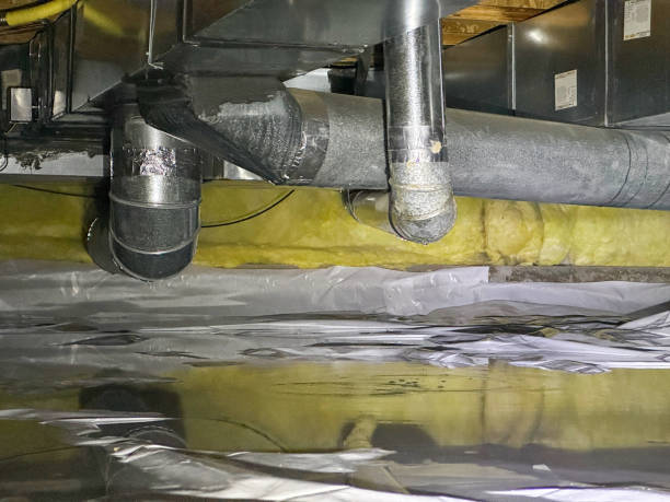 Best Mold removal after water damage  in Ivanhoe, CA