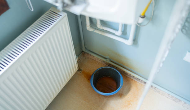 Best Flood damage cleanup  in Ivanhoe, CA