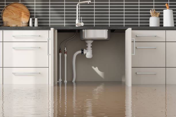 Best Water damage restoration near me  in Ivanhoe, CA